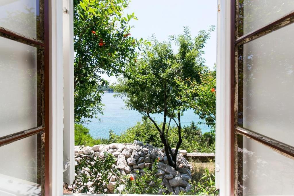 Guest House Simunovic Sudurad Bagian luar foto
