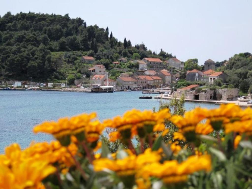 Guest House Simunovic Sudurad Bagian luar foto